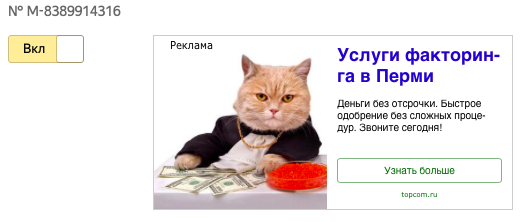 котик2