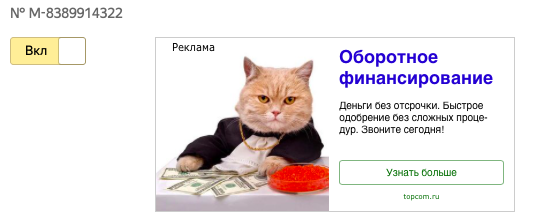 котик3