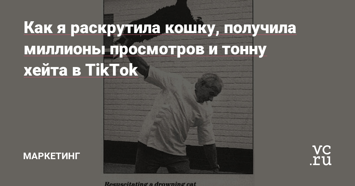 Месяц назад я завела TikTok своей кошке, а сегодня она популярнее, чем я. В статье я расскажу, что помогло собрать больше 7 миллионов просмотров, 34 тысячи подписчиков и тонну хейта. И как быстро проверить гипотезу для вашего продукта в TikTok.