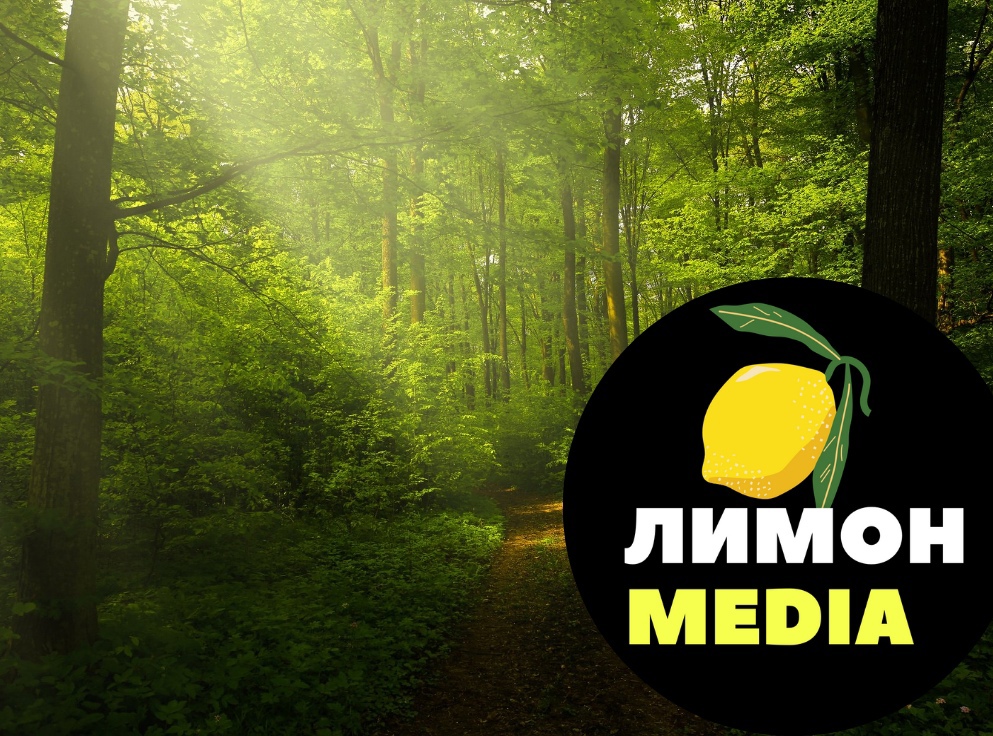 Привет! Сегодня ЛИМОН MEDIA расскажет как продавать земельные участки в социальных сетях. Период описанной работы зима 2021-2022